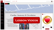 Load image into Gallery viewer, Online EKG Course