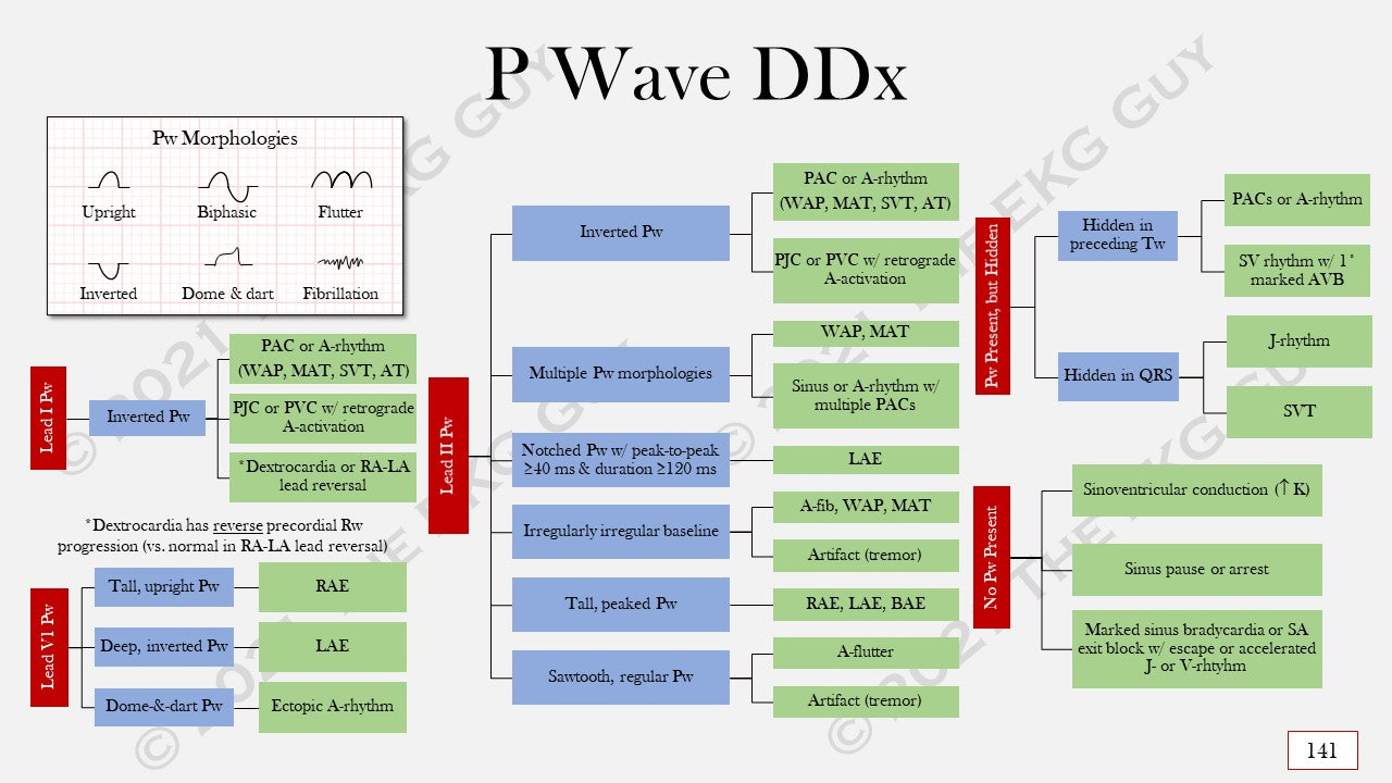 Ultimate EKG Coding Breakdown (1st Ed) – The EKG Guy